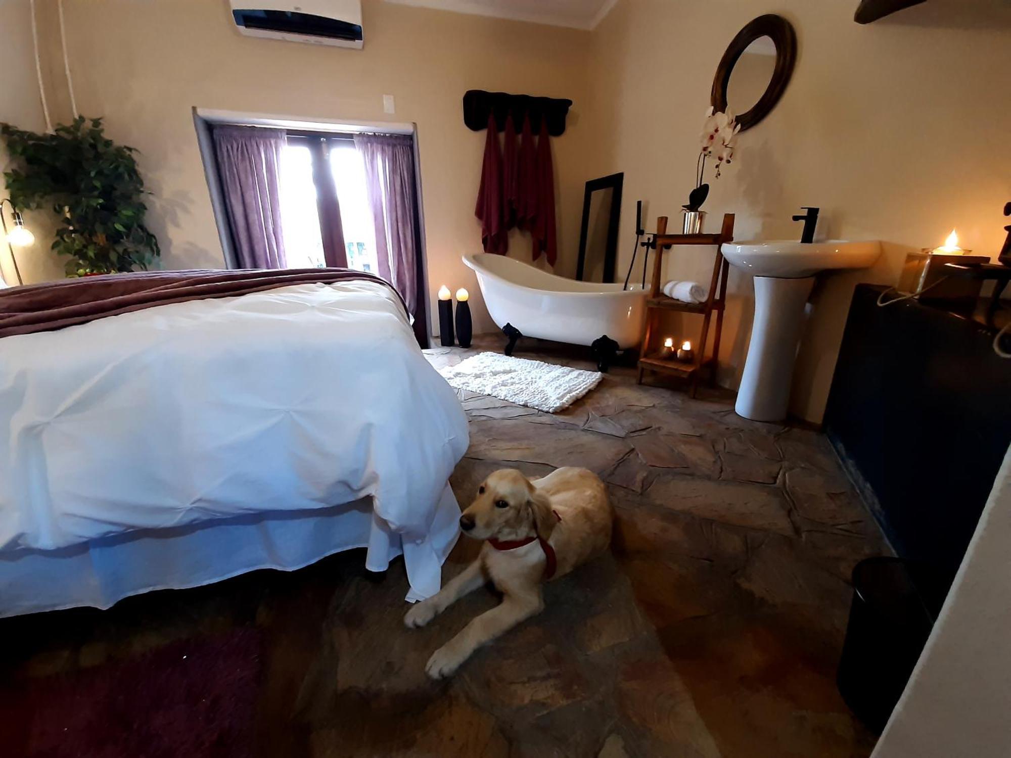 Rosenhof Manor House - Since 1847 Lägenhet Clanwilliam Exteriör bild